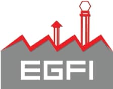 EGFI